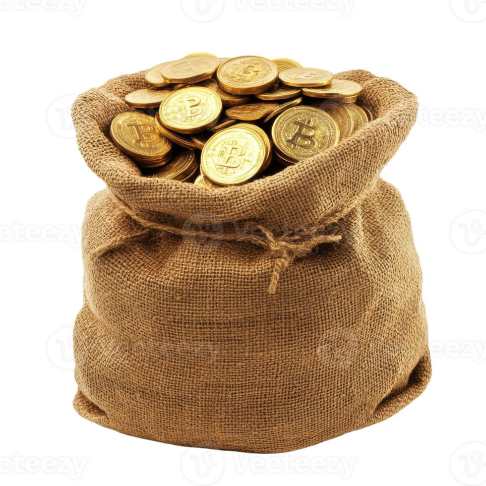 Golden Coins Sack White Background on transparent background. png