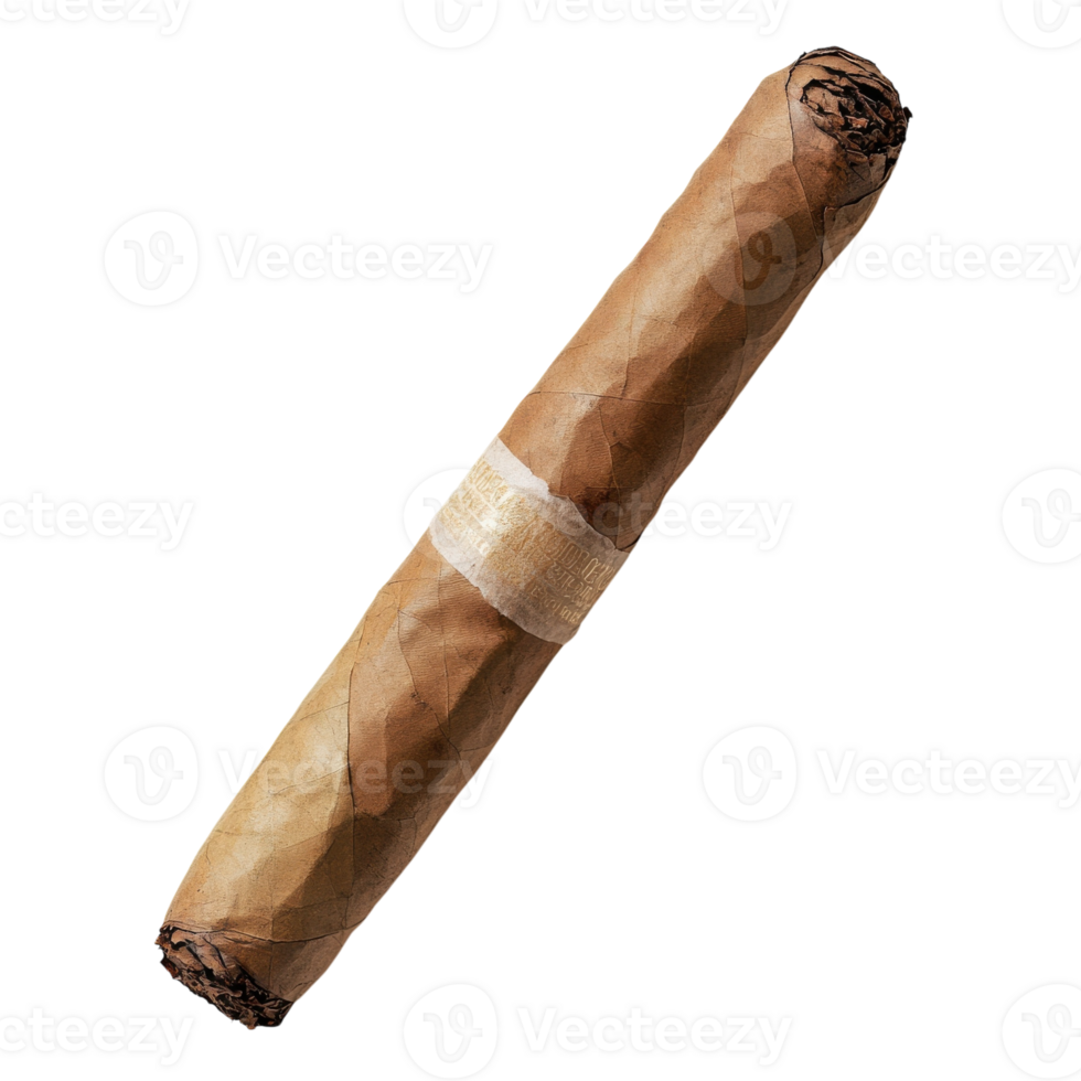 Luxury Cigar on Paper Roll on transparent background. png