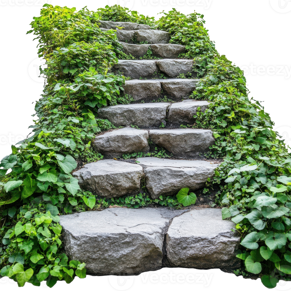 Stone Steps Lush Greenery on transparent background. png