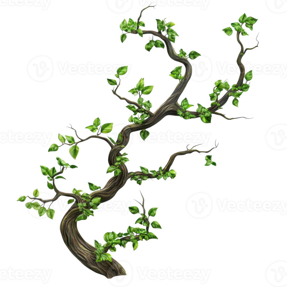 Jungle Branch Green Plants Growth on transparent background. png
