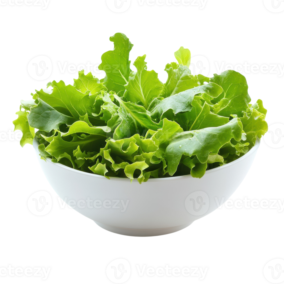 Fresh Green Salad in Bowl on transparent background. png