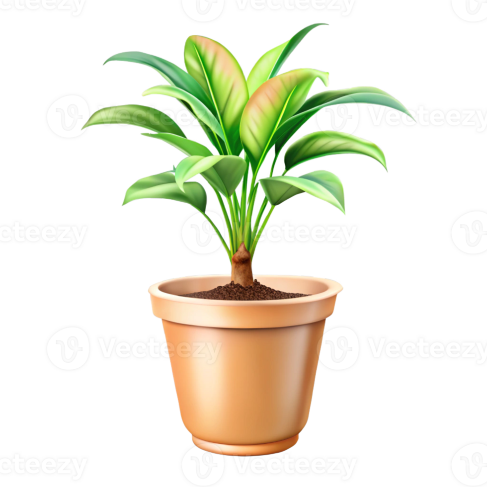 Lush greenery in a vibrant container png