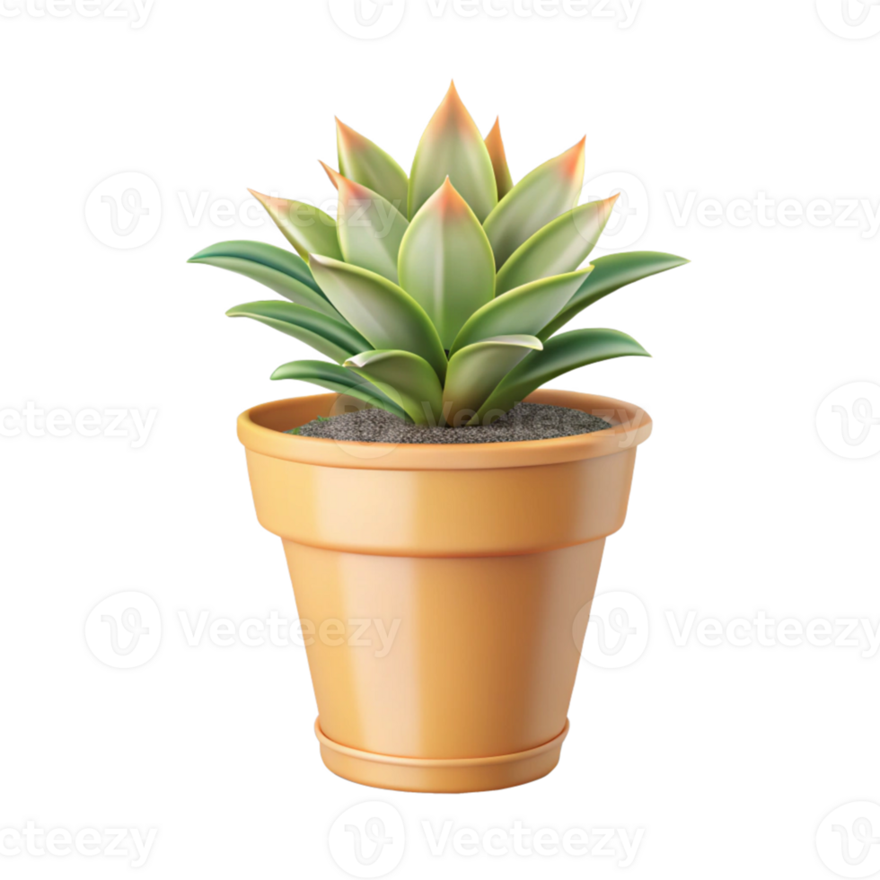 Compact indoor succulent with pastel pot design png