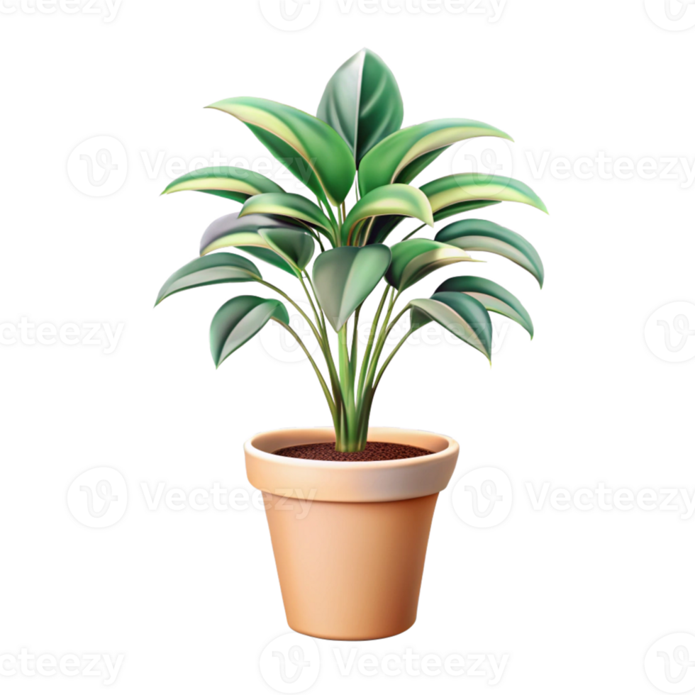 Realistic succulent illustration with soft details png