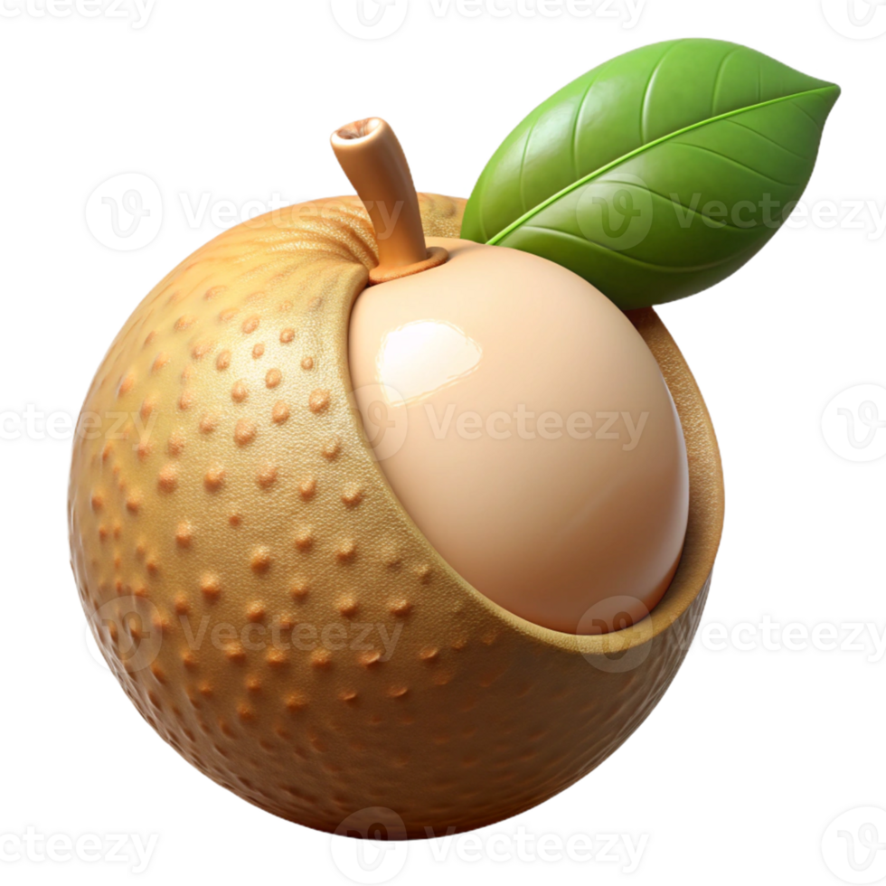 Longan fruit with detailed textures png