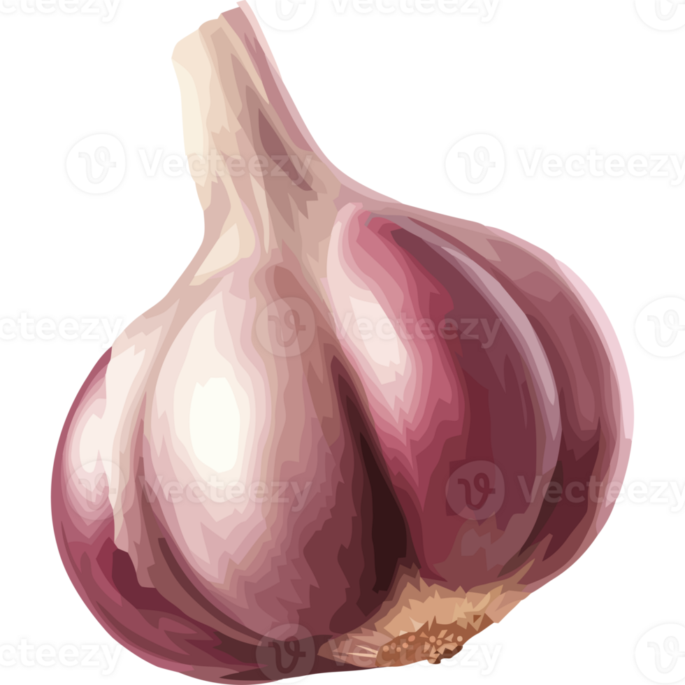 Fresh garlic vegetable full of flavor icon isolated png