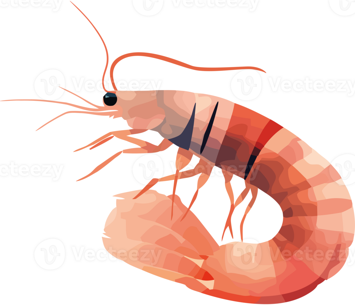 Shrimp icon isolated png