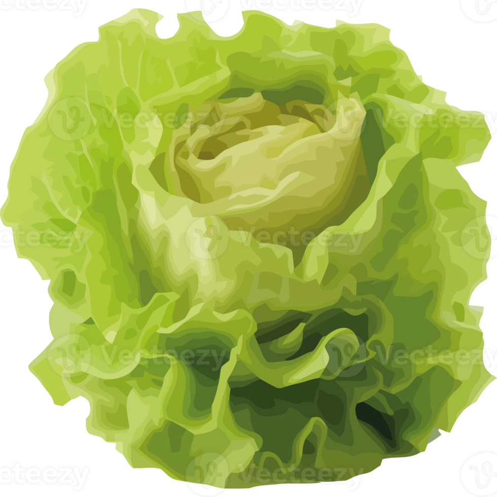 Fresh organic salad with ripe vegetables and leaf icon isolated png