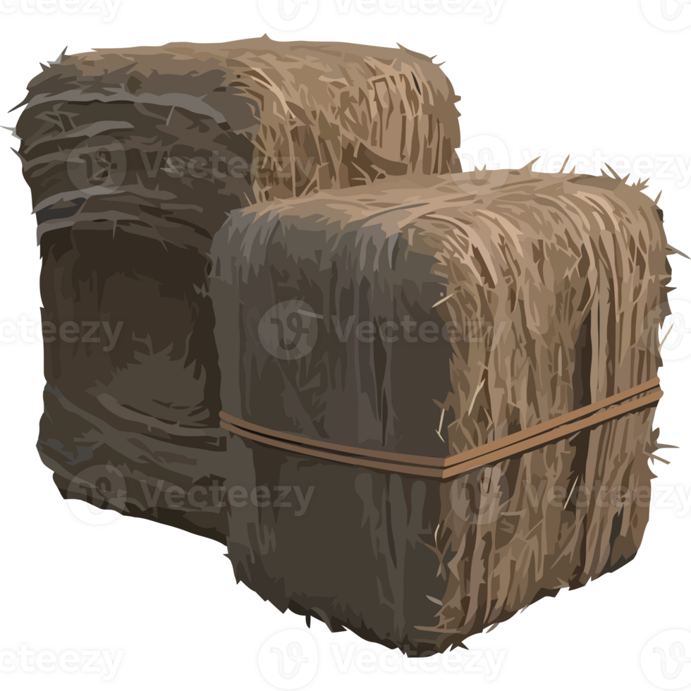 Two hay bales are stacked icon isolated png