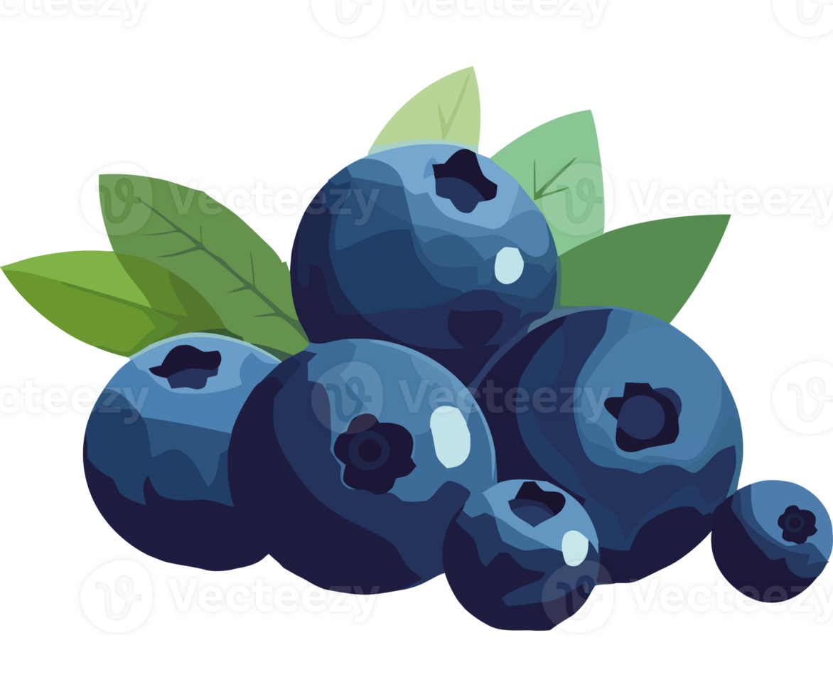 Ripe berry branch, fresh and healthy snack icon isolated png