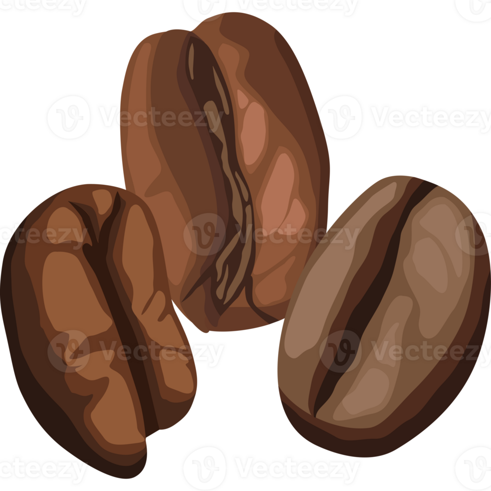 Coffee beans icon isolated png