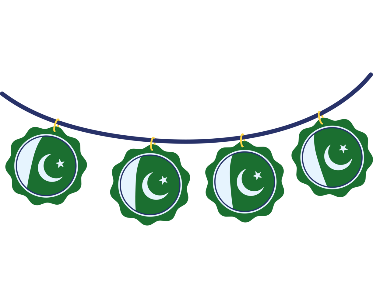 Pakistan flag icon isolated png