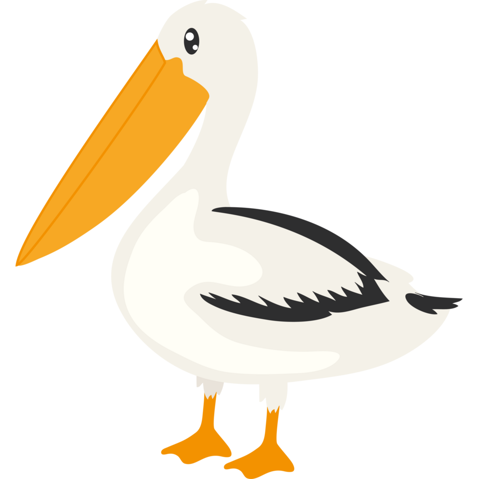 Pelican icon isolated png