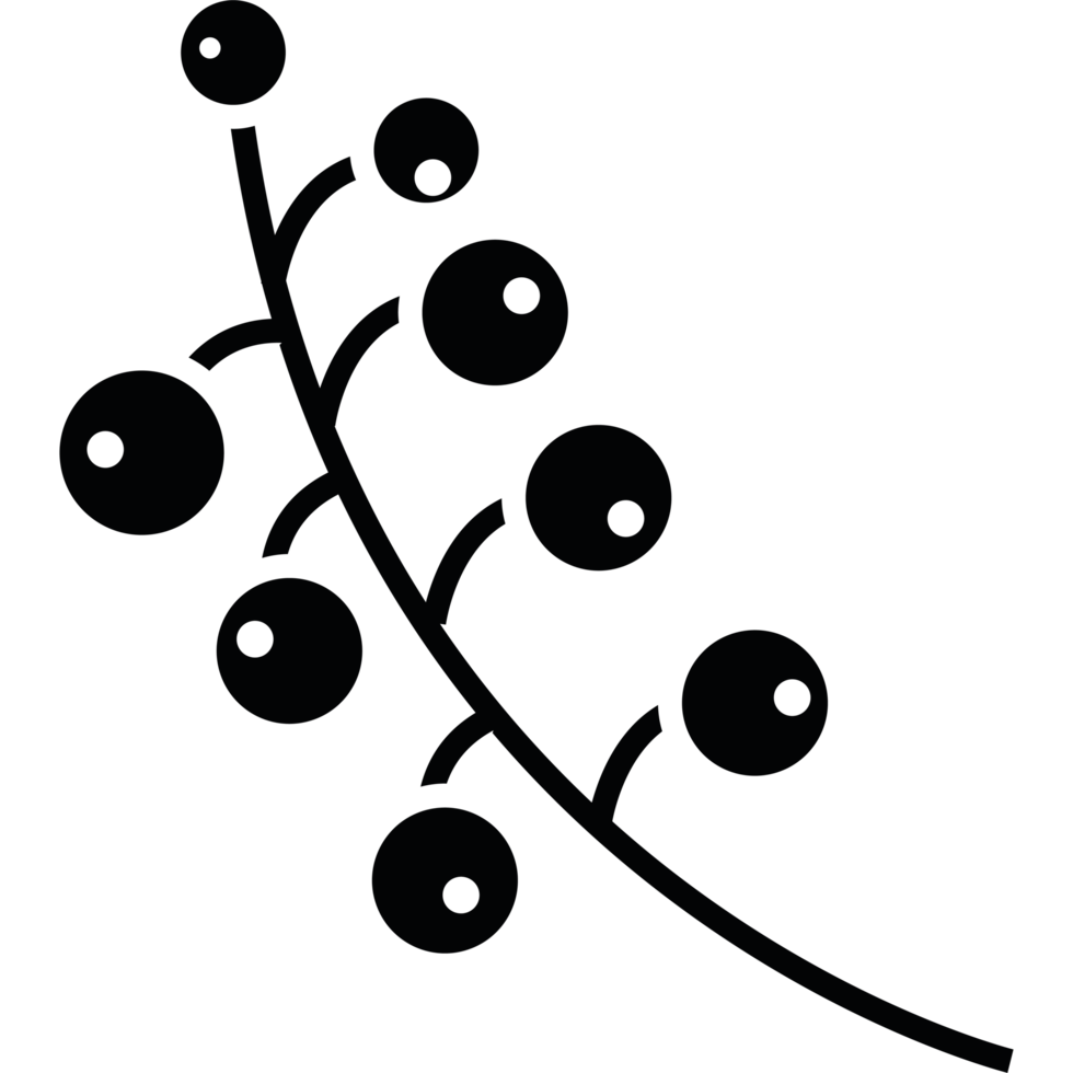 Branch with berries icon isolated png