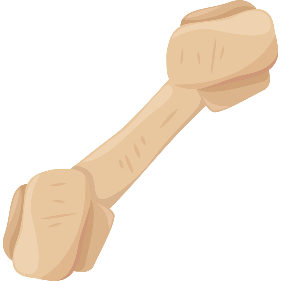 Bone icon isolated png