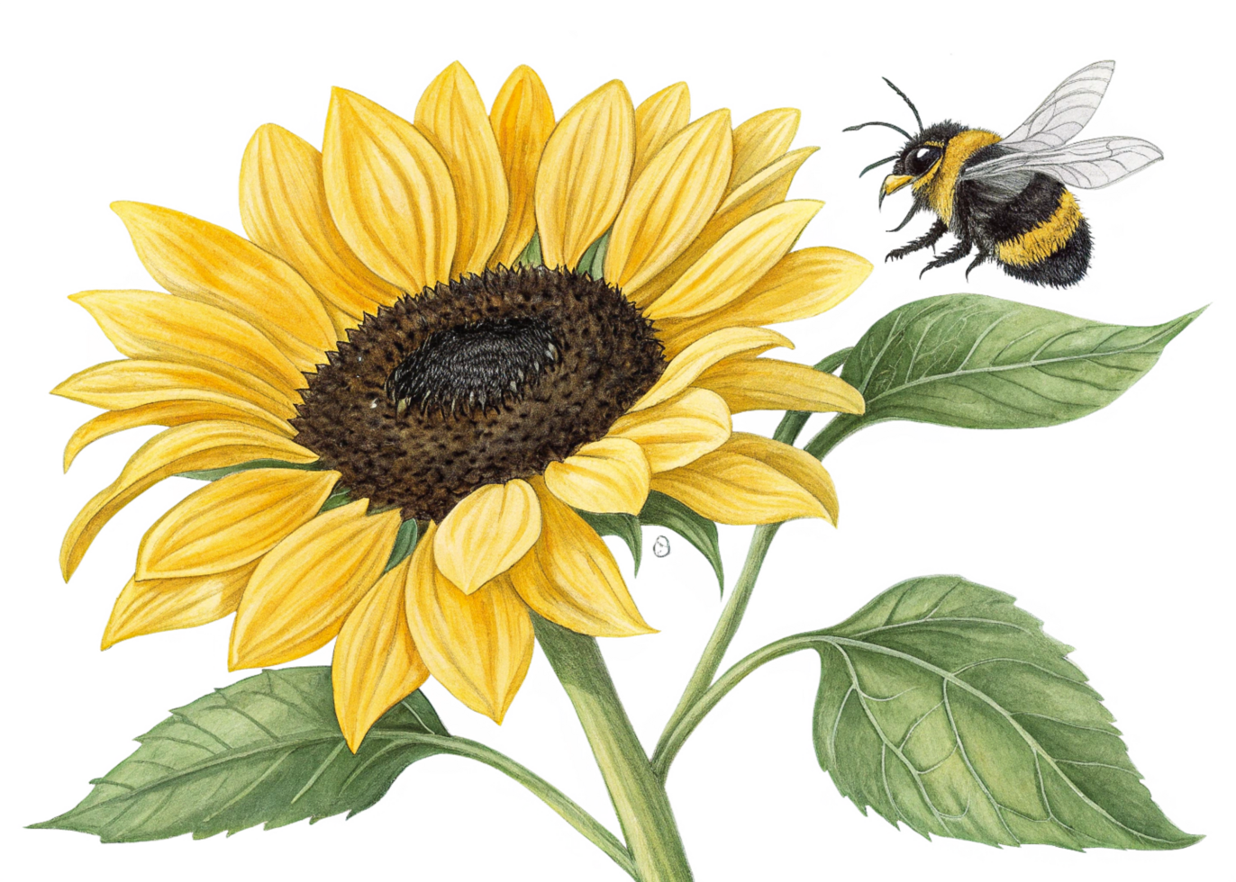 Vibrant Sunflower, Bumblebee, Glitch Art, Nature, Summer, Bloom, Pollination, Yellow, Beauty, Flower png