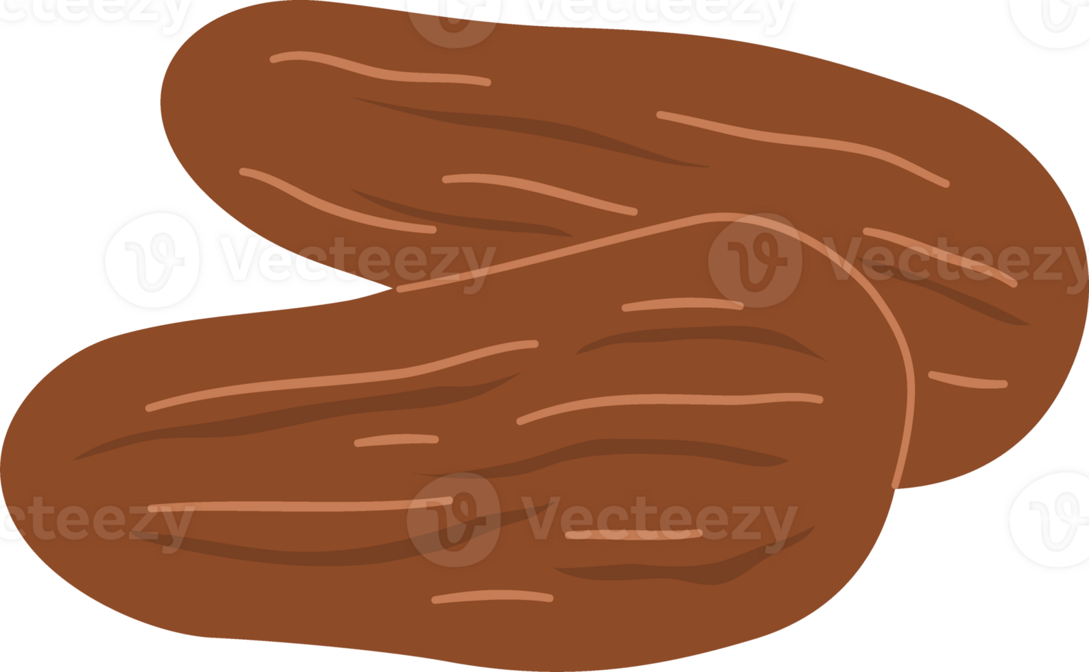 hand drawn fresh dates fruit png