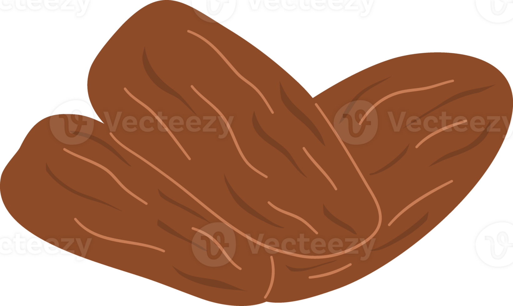 illustration of dates fruit png