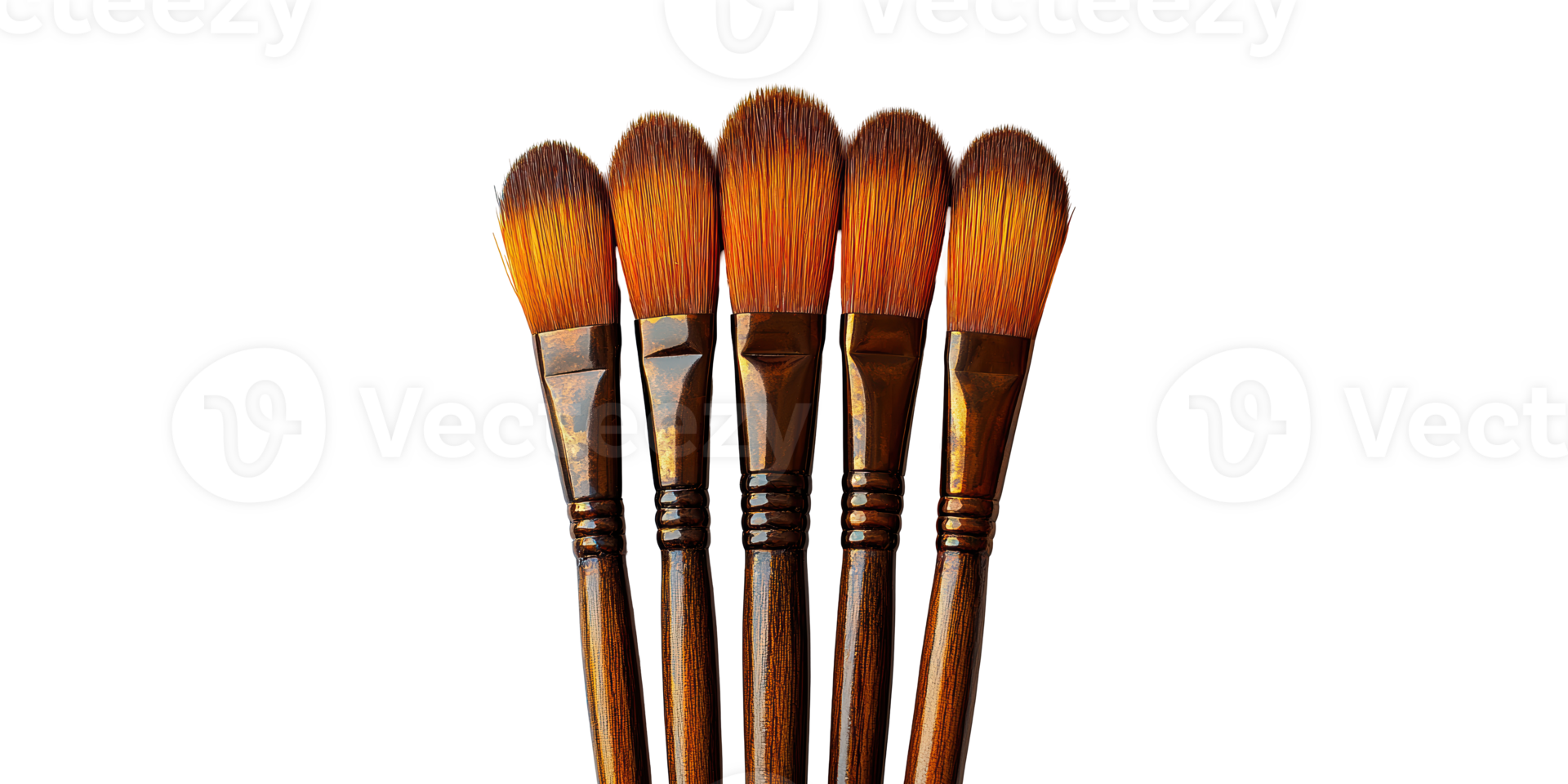 Five artist paintbrushes aligned vertically isolated on transparent background png
