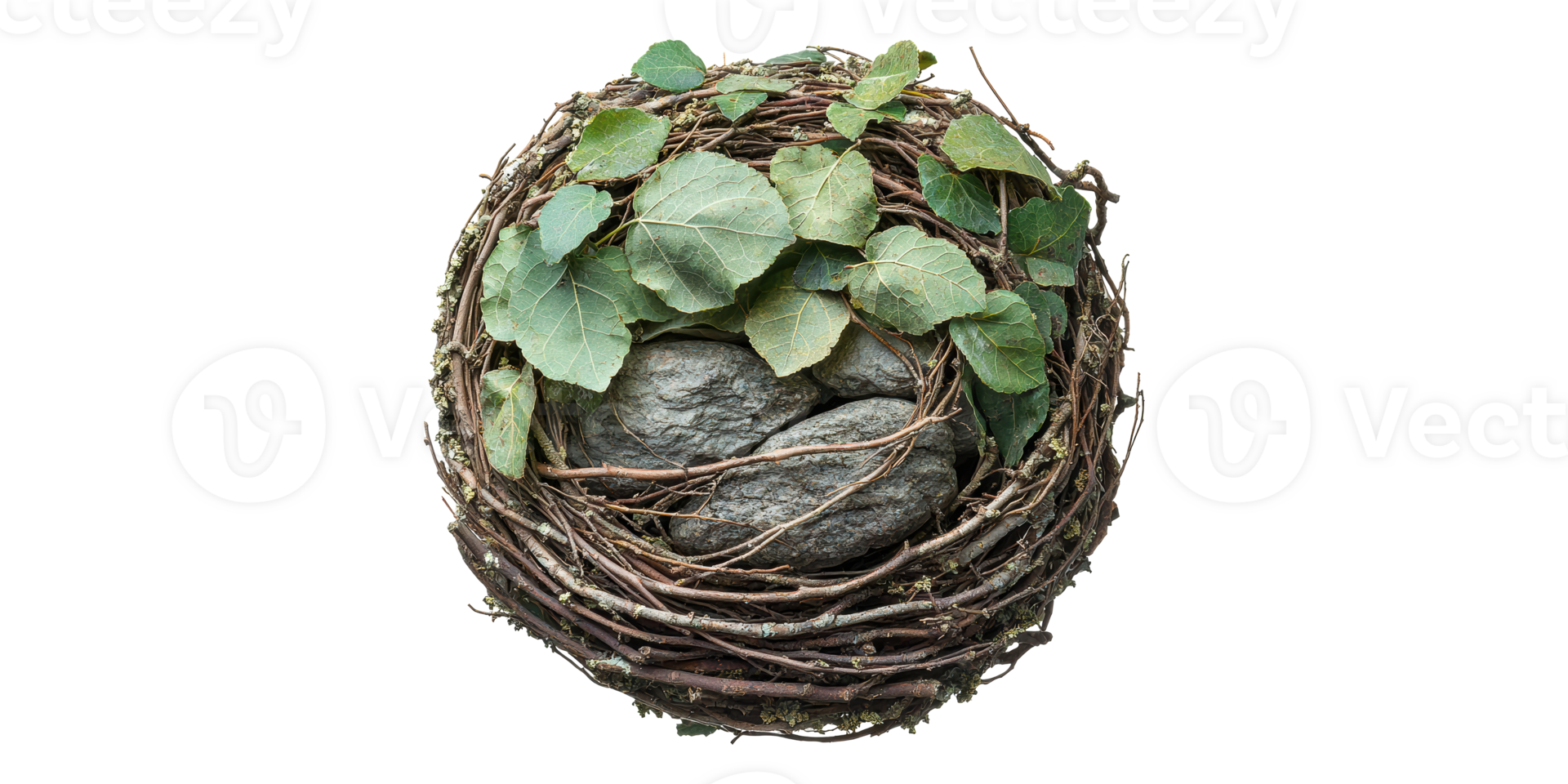 Birds nest with twigs and leaves isolated on transparent background png