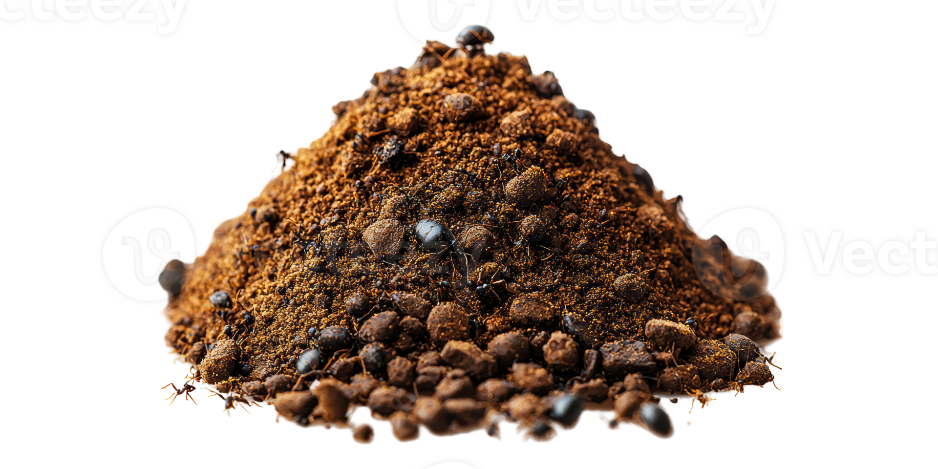 Ant hill with crawling ants isolated on transparent background png