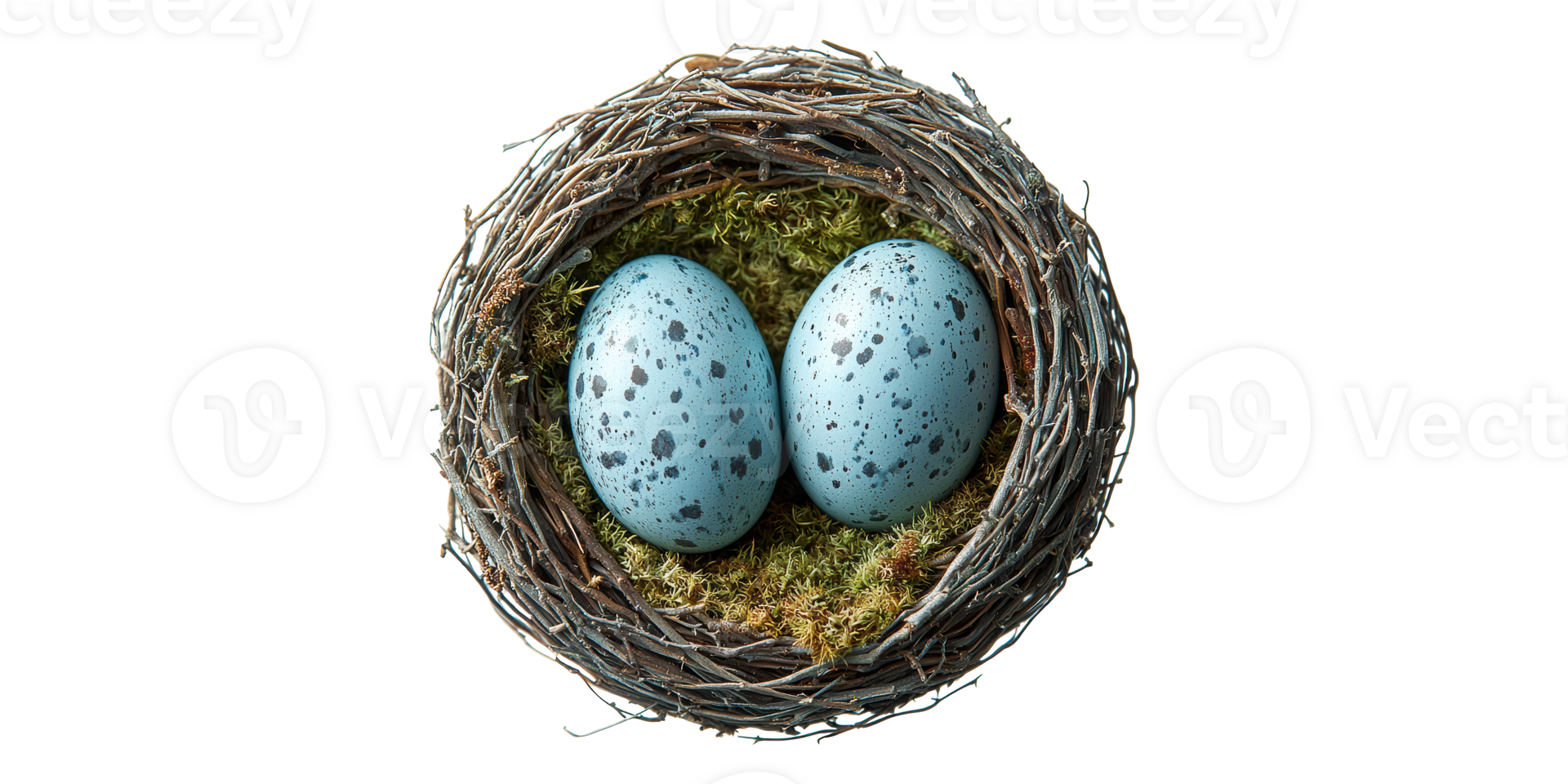 Two blue speckled eggs in bird's nest isolated on transparent background png