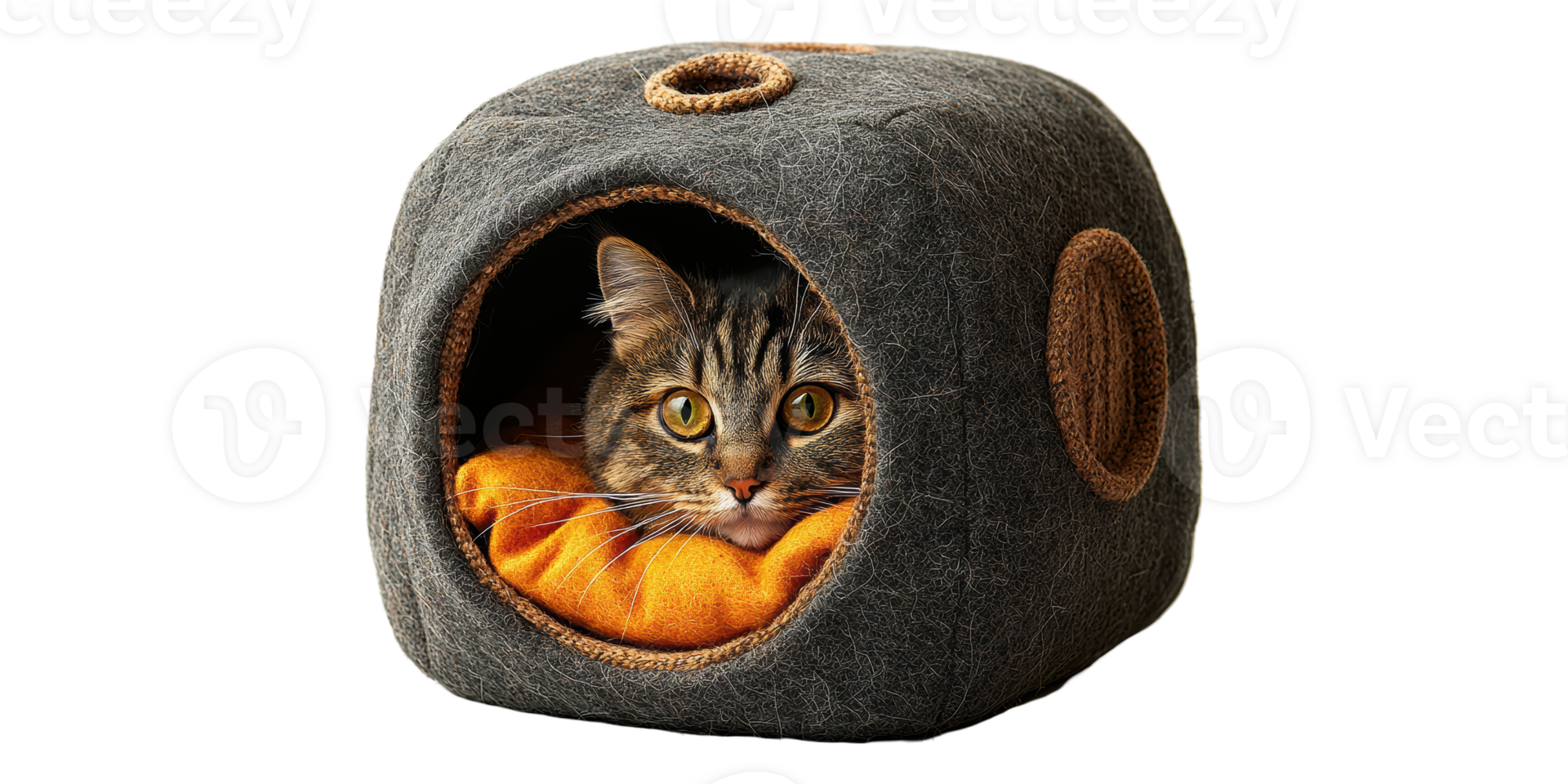 Cat resting in cozy cubic bed isolated on transparent background png