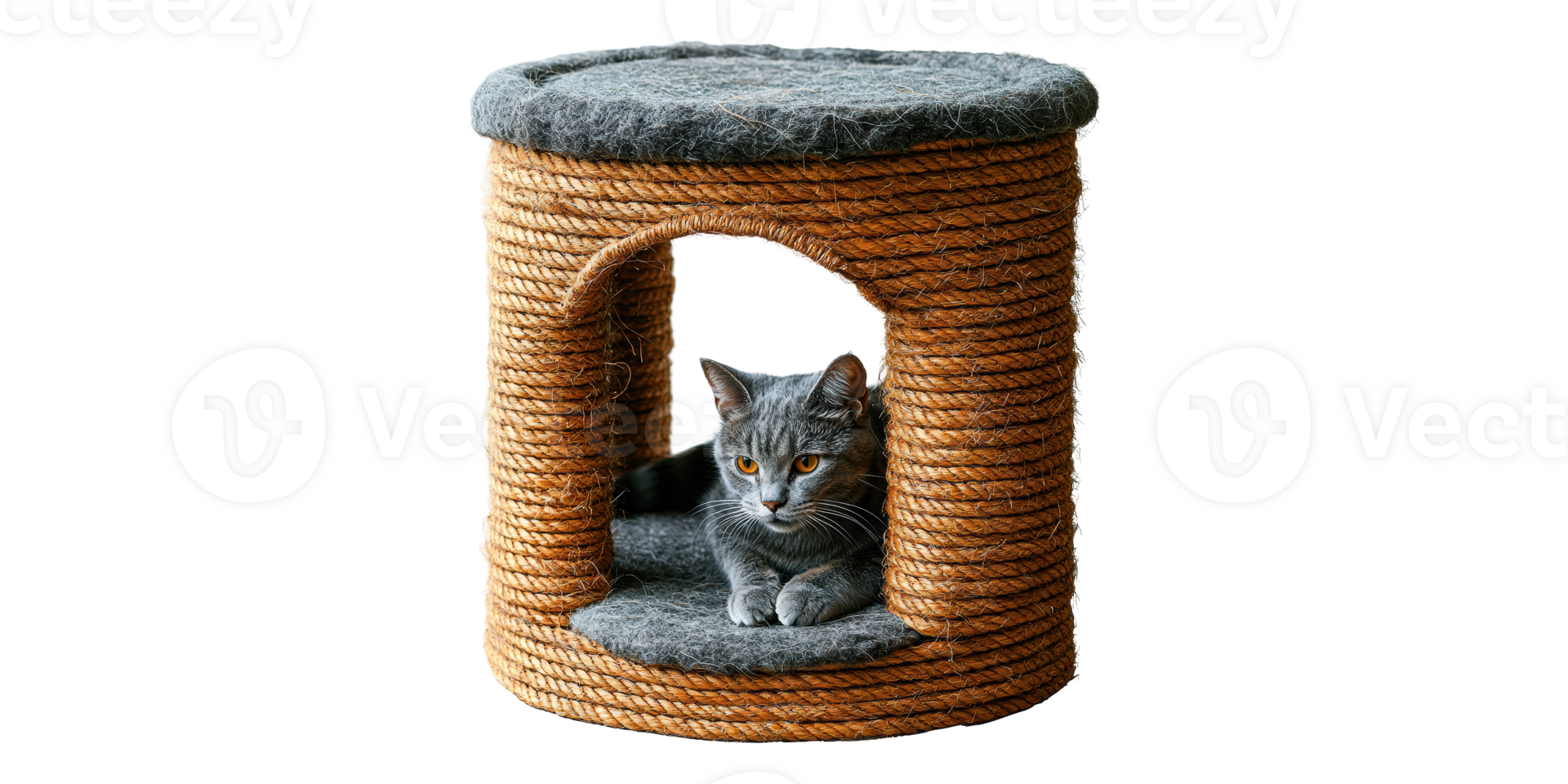 Gray cat in a rope-covered cat house isolated on transparent background png