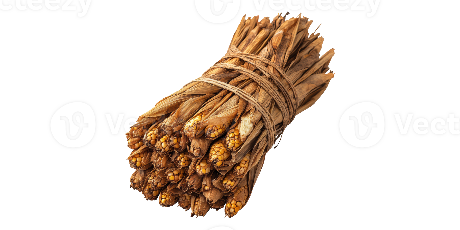 Dried corn stalk bundle tied with twine isolated on transparent background png