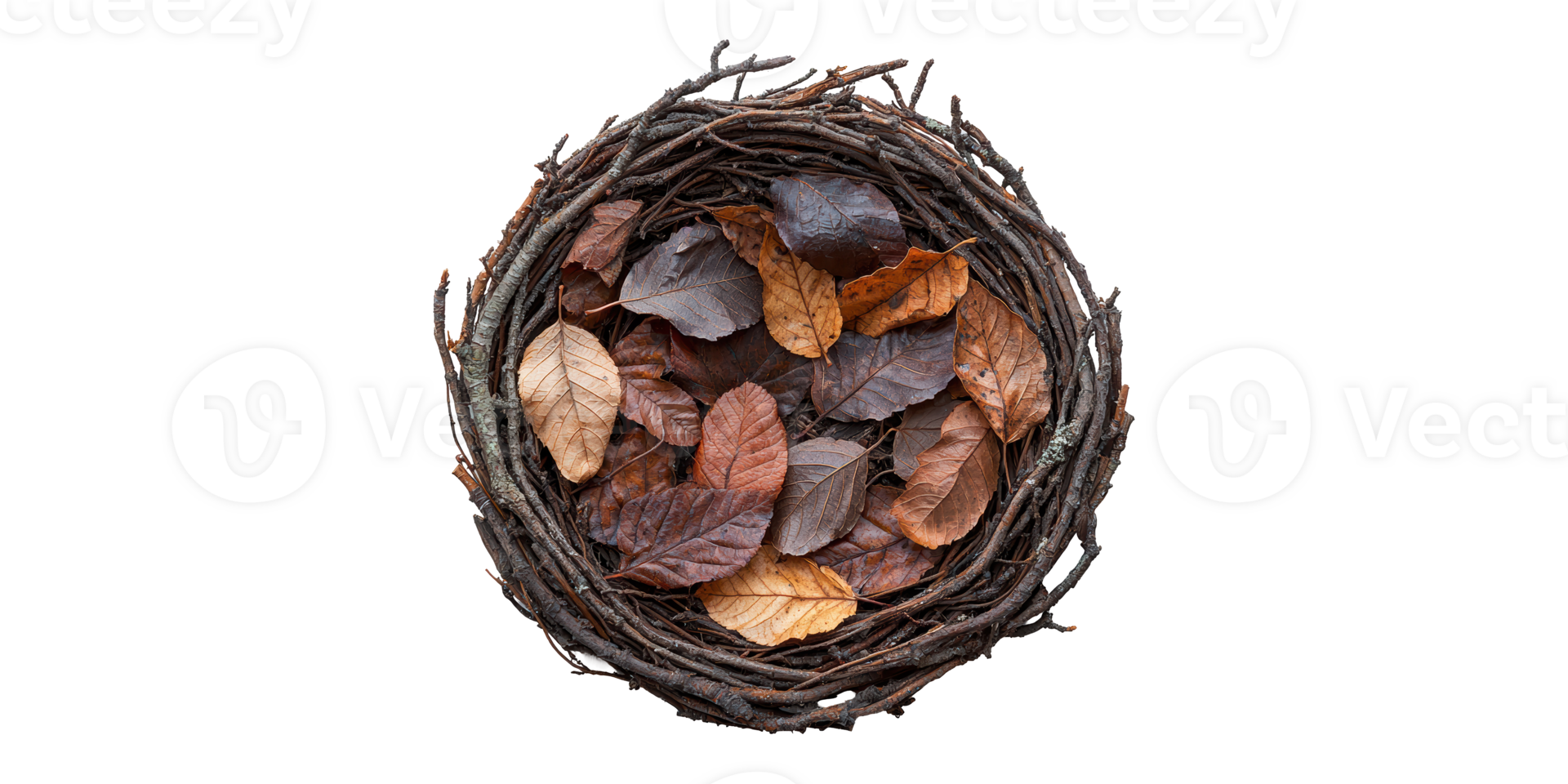 Bird nest with brown leaves isolated on transparent background png