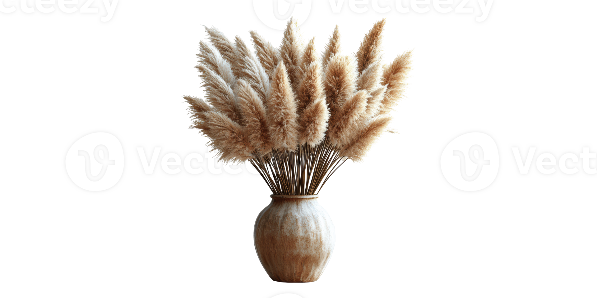 Pampas grass arrangement in ceramic vase isolated on transparent background png