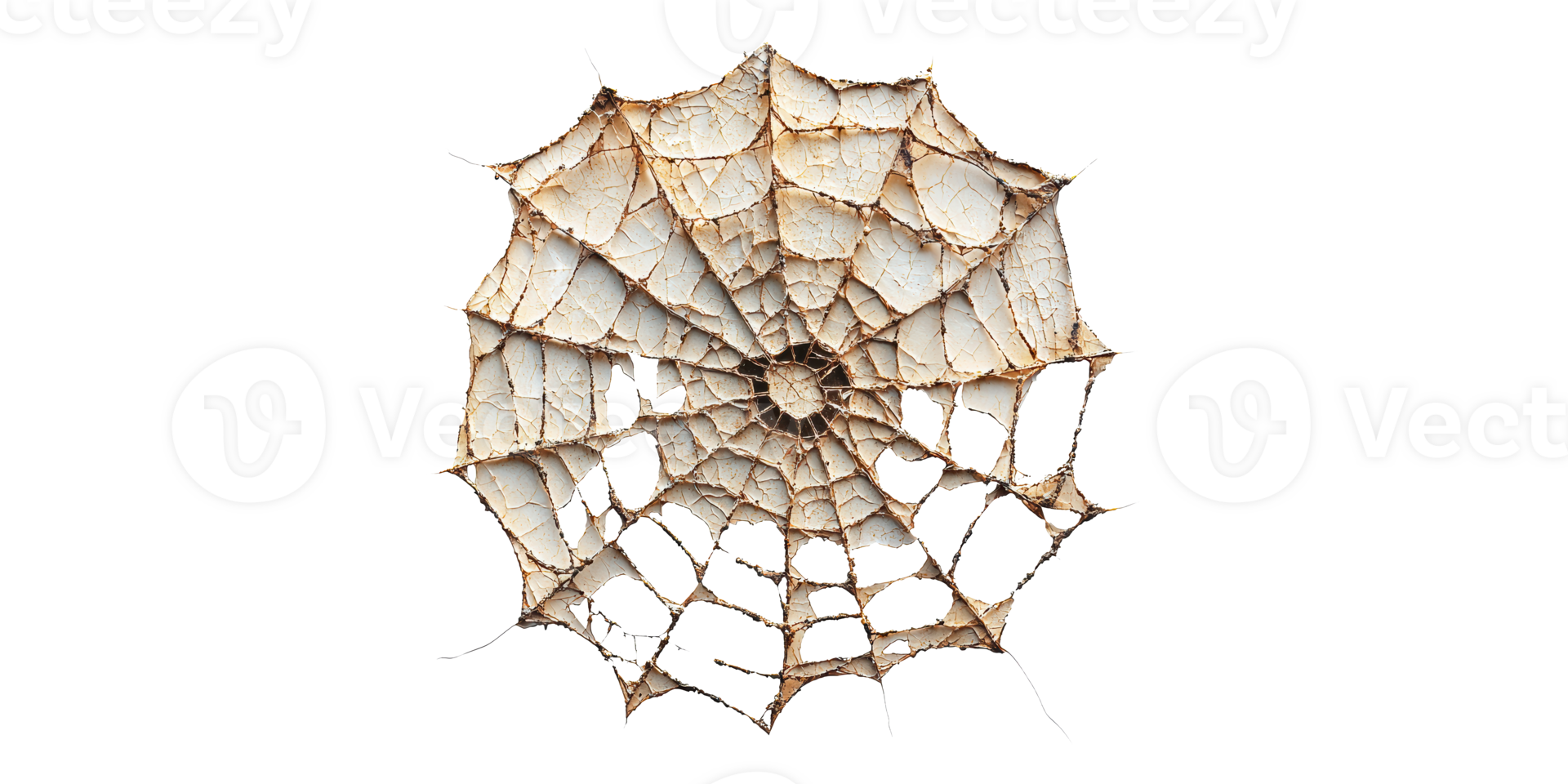 Dry spider web with cracked texture isolated on transparent background png