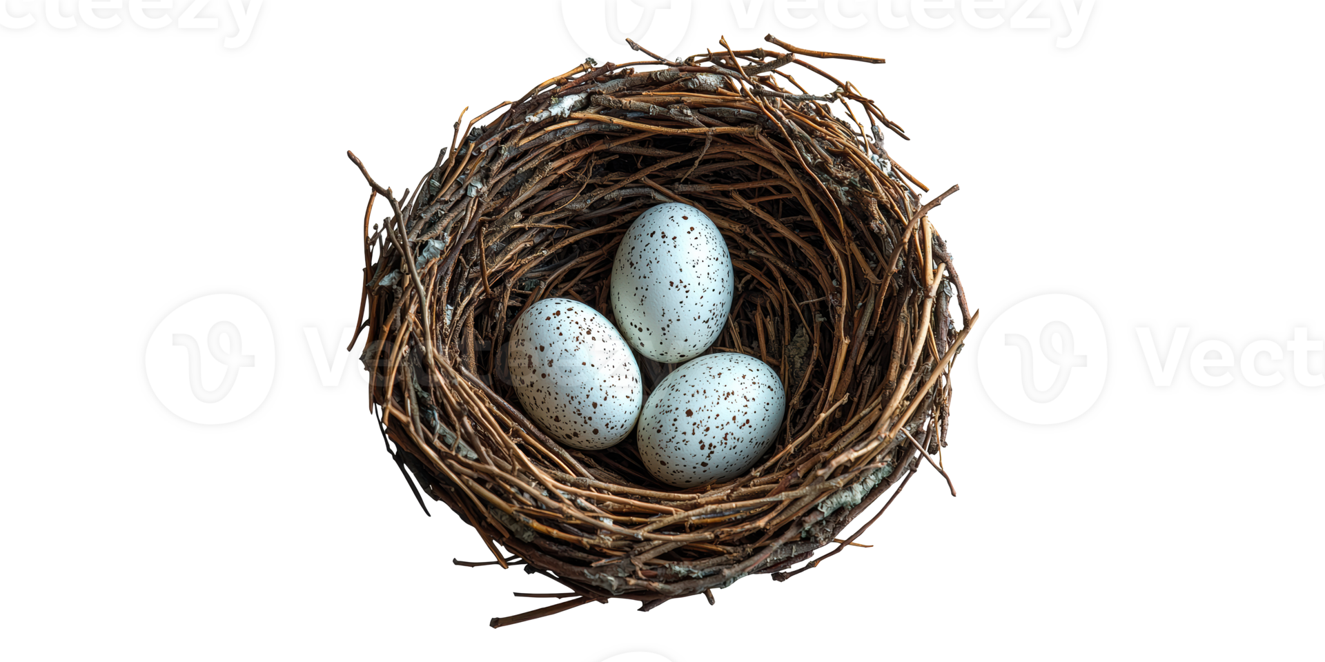 Bird nest with three speckled eggs isolated on transparent background png