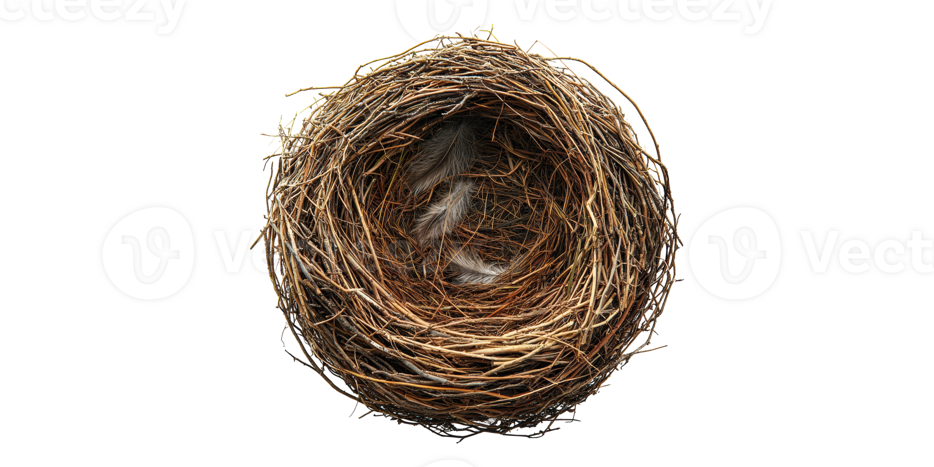 Brown bird nest with feathers isolated on transparent background png