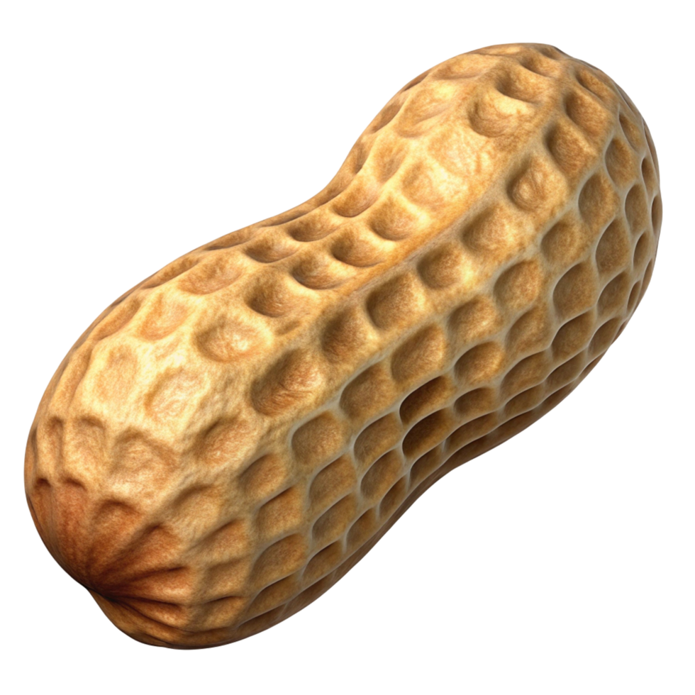 Close-up of a Single Peanut in its Shell png