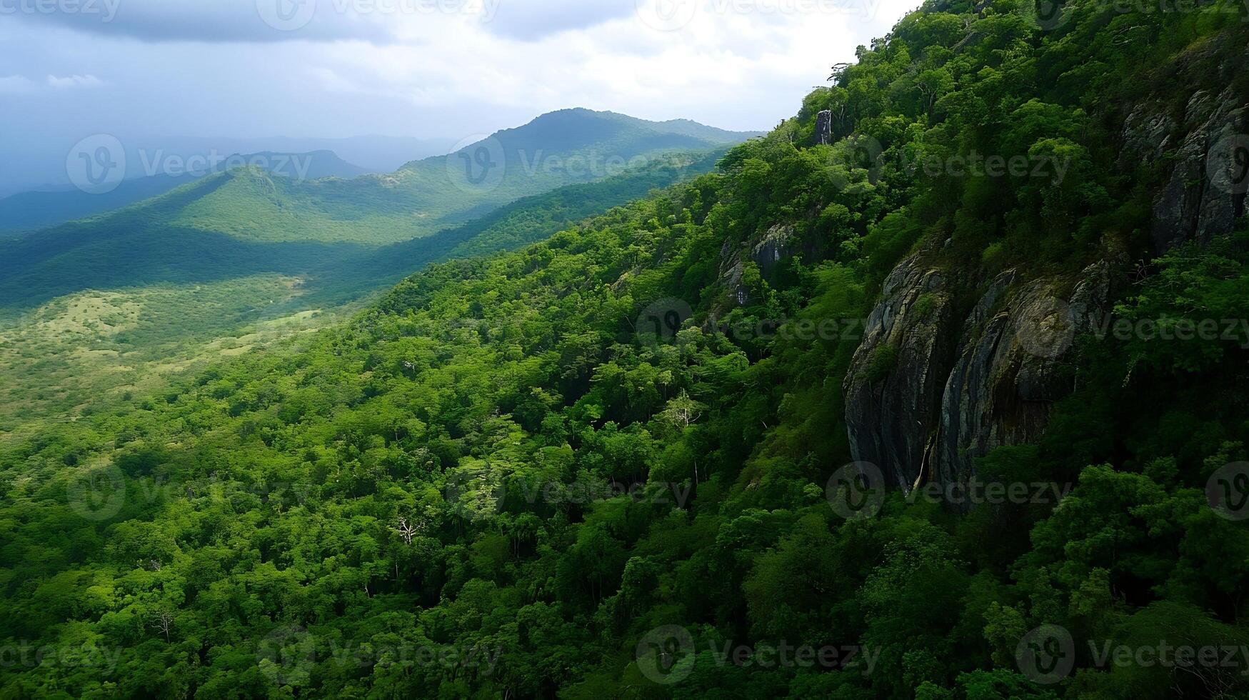 Expansive Lush Green Forest Landscape with Rolling Hills and Cloudy Sky photo