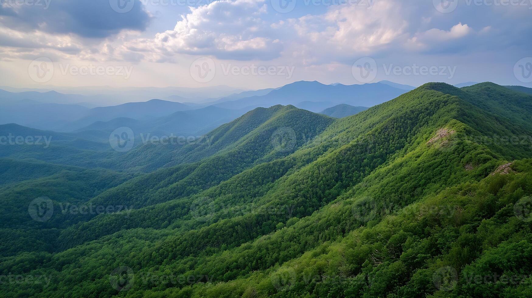 Expansive Mountain Range Covered in Verdant Forest Under Blue Sky photo