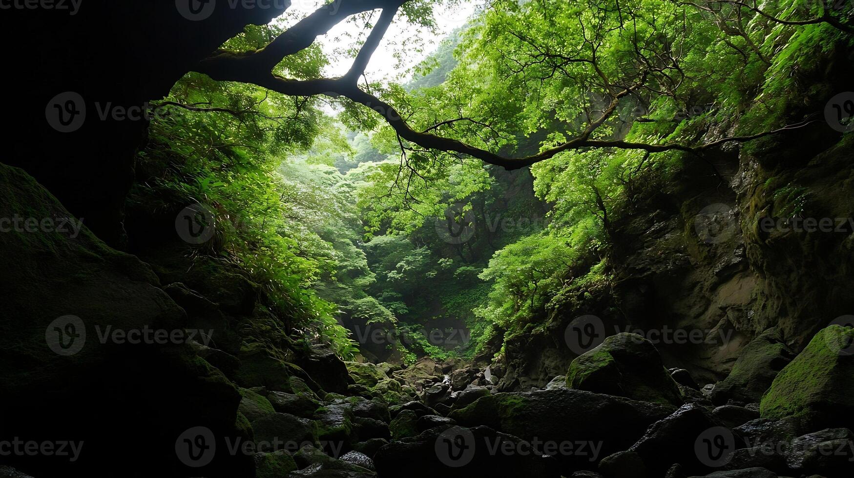 Lush Forest Vegetation in Mystical Cave with Sunlight Highlighting Hidden Pathway photo