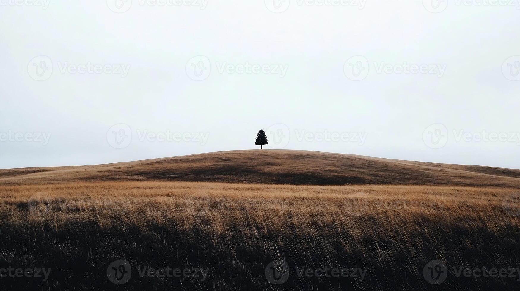 Solitary Tree on Rolling Hills Prairie Under Overcast Skies in Serene Landscape photo