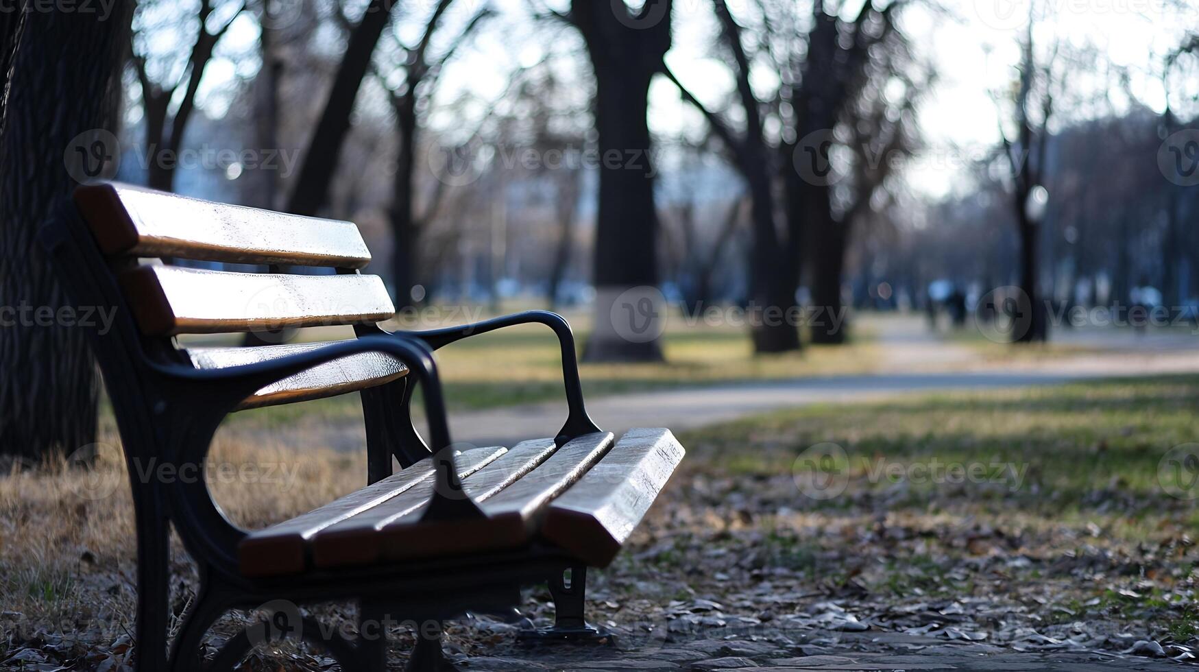 Serene Empty Park Bench in Quiet Autumn Park at Dusk photo