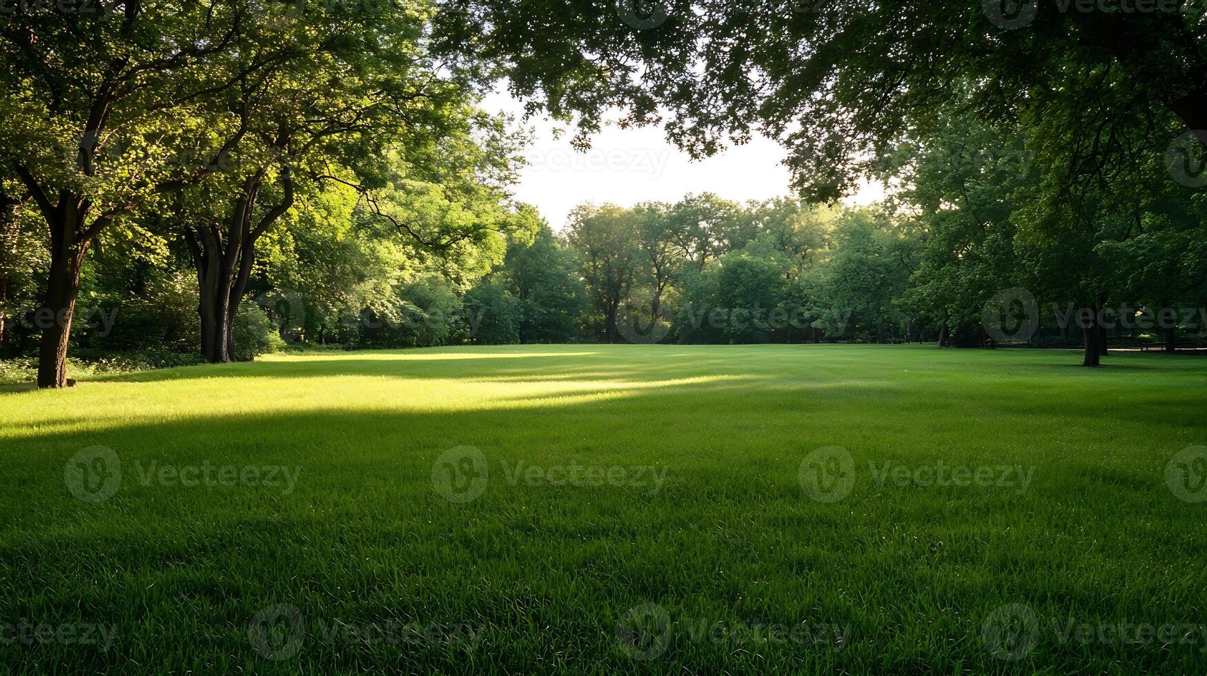 Lush Green Park with Sunlight Through Trees Perfect for Relaxation Themes photo