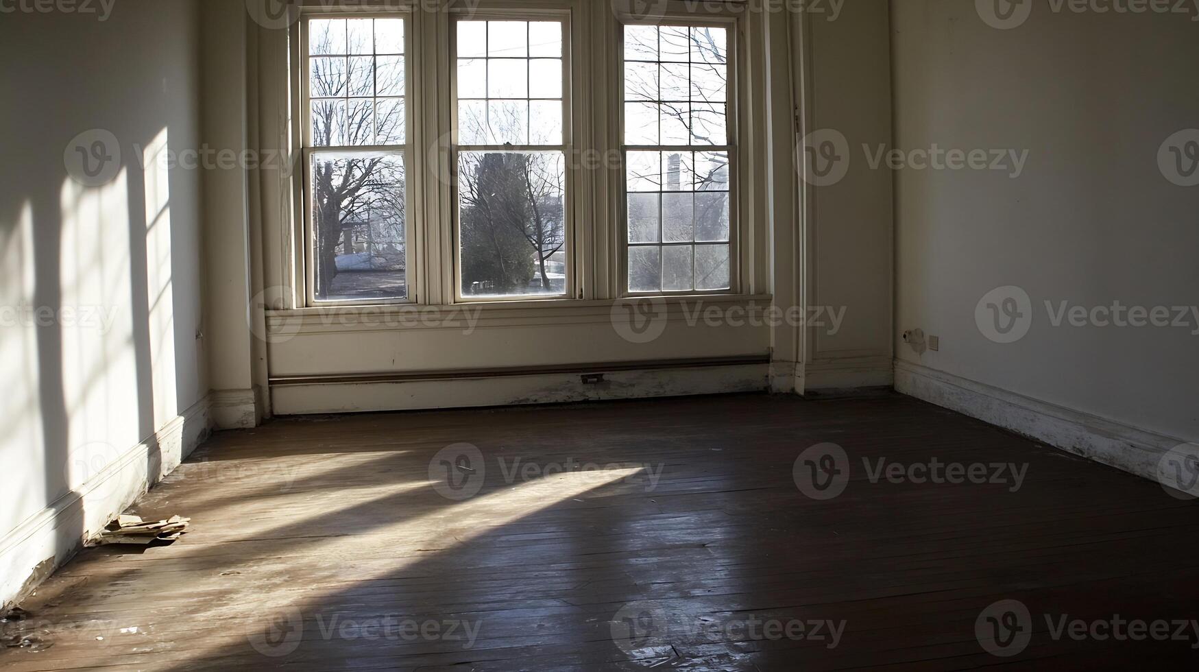 Sunlit Bare Room With Large Windows and Wooden Floor Casting Shadows photo