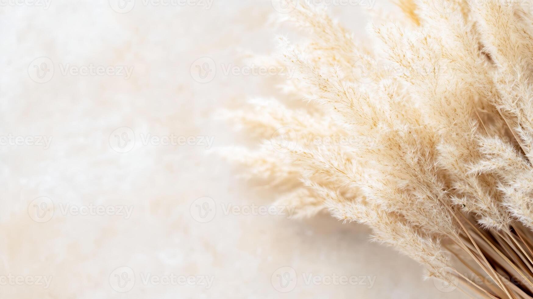 Dried Wheat Stalks Against Light Background in Rustic Natural Arrangement photo