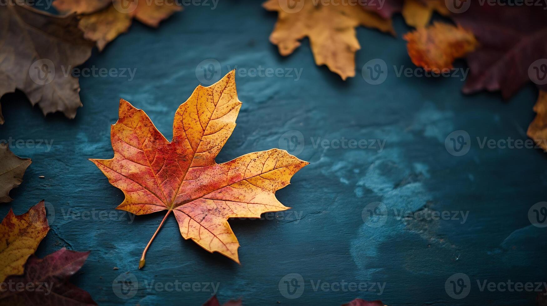 Single Autumn Leaf on Textured Blue Surface with Rich Fall Color Palette photo
