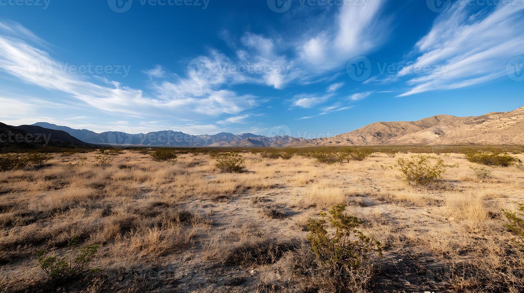 Vast Desert Landscape under Blue Sky with Sparse Vegetation and Mountains in the Horizon photo