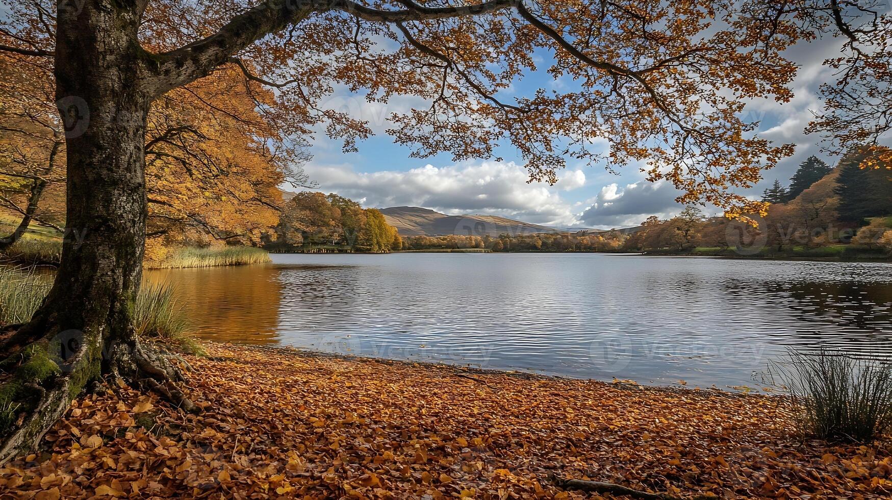 Serene Autumn Lake View with Vibrant Leaves and Reflective Water Surface photo