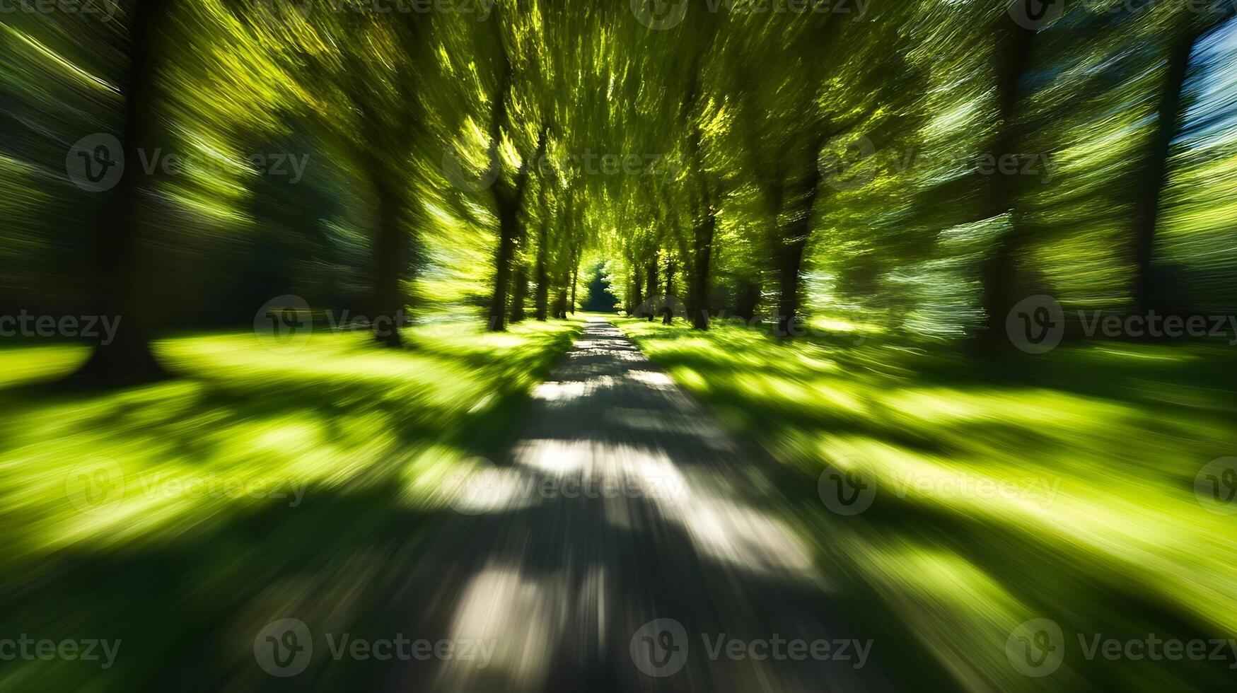 Scenic Tree-lined Path with Motion Blur Effect in Lush Green Forest Setting photo
