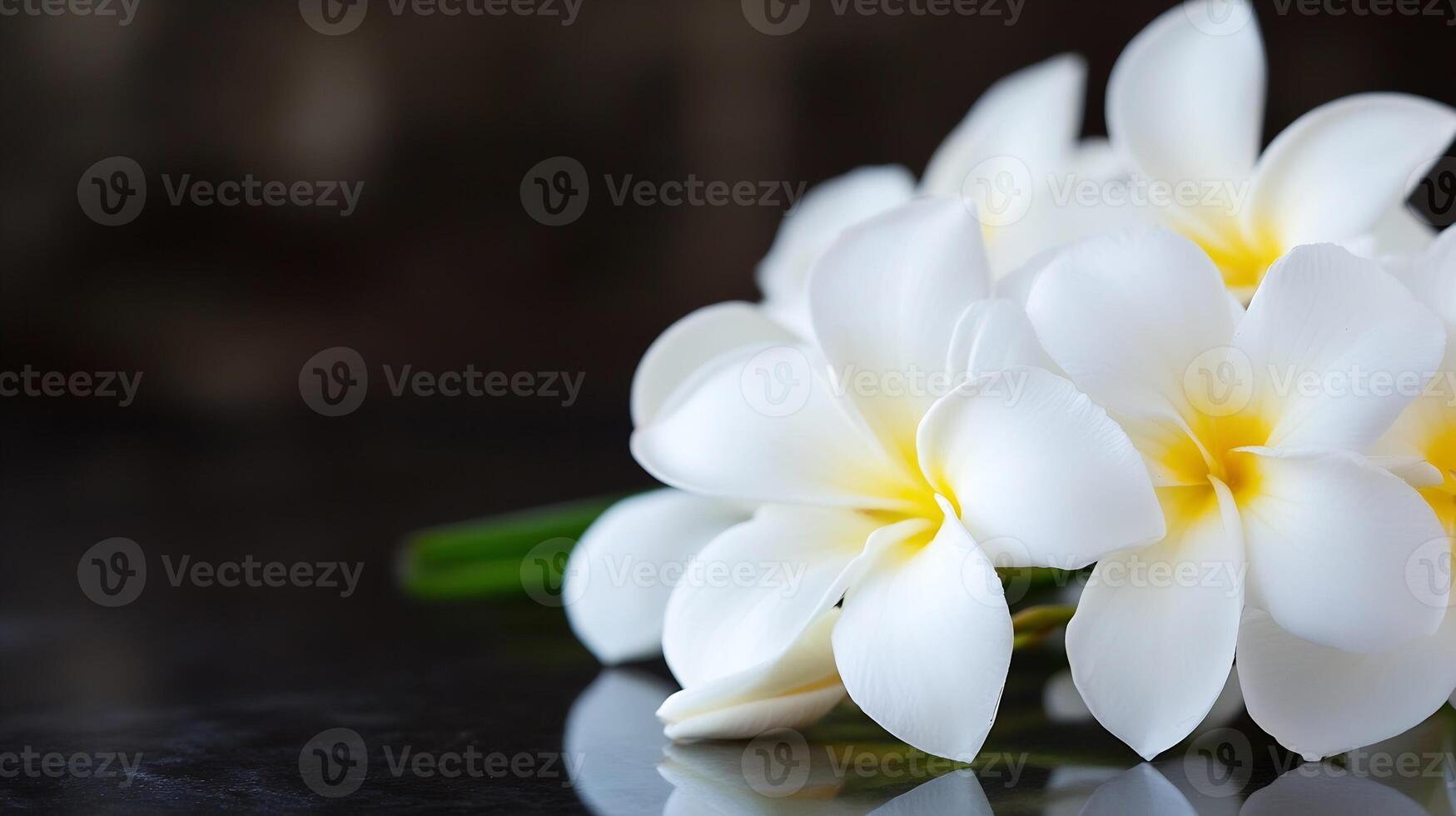 Serene White Flowers in Bloom Reflecting Elegance and Purity on Glossy Surface photo