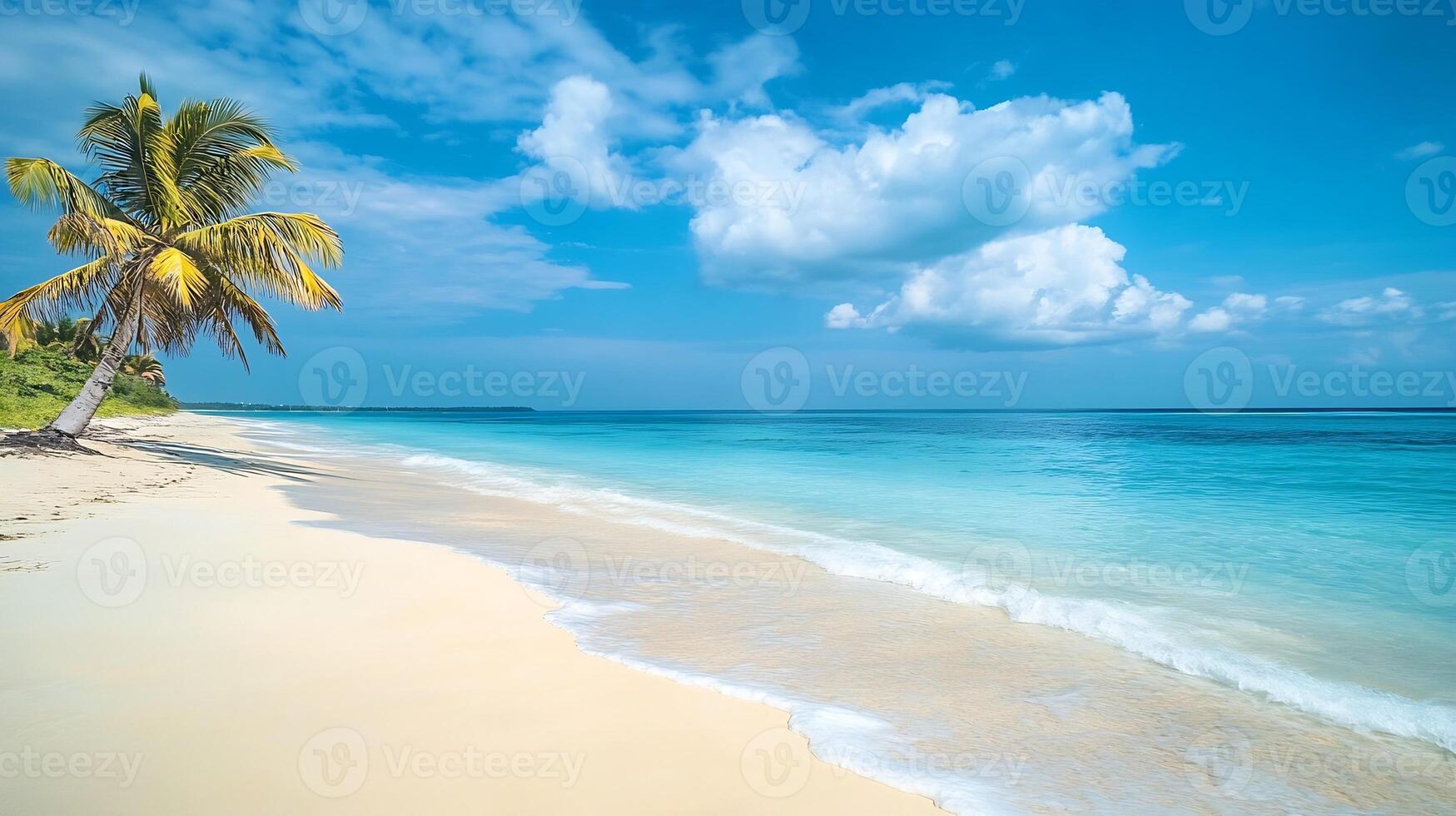Tropical Beach with Palm Tree and Crystal Clear Blue Ocean on Sunny Day photo