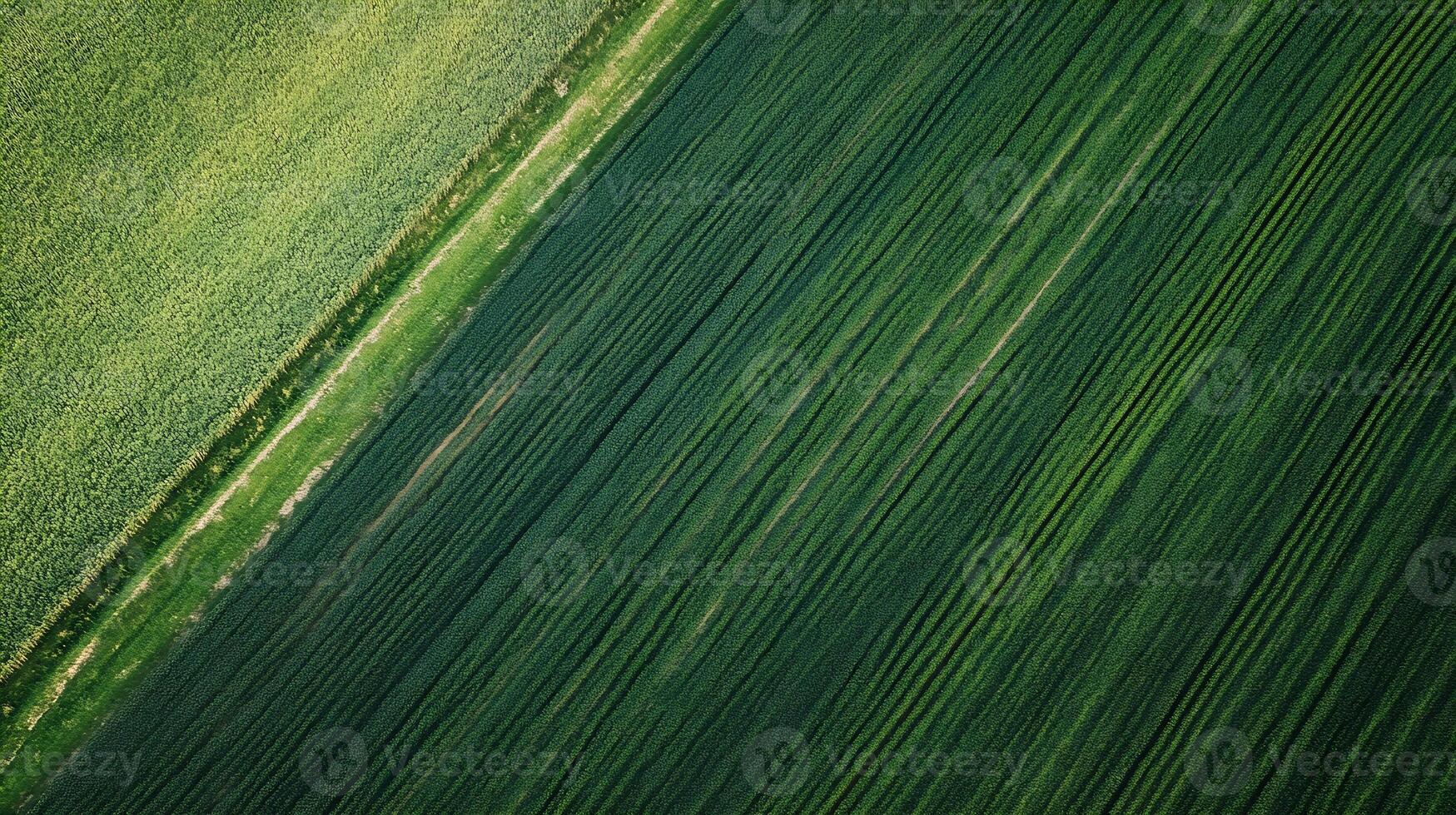 Green aerial view of lush agricultural fields showcasing various crop patterns photo